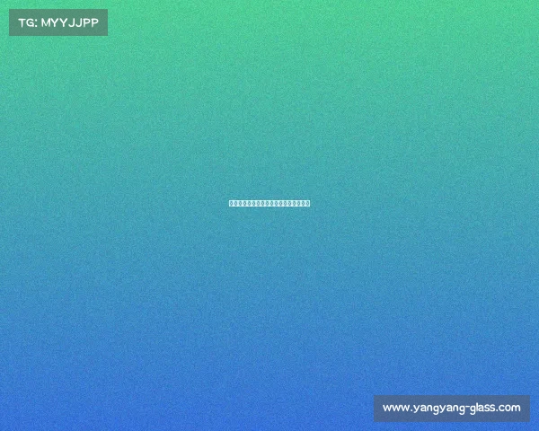 近日武术赛事风云再起高手对决精彩纷呈